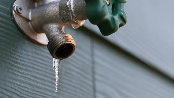 Best Clogged Drain Plumber  in Wagener, SC